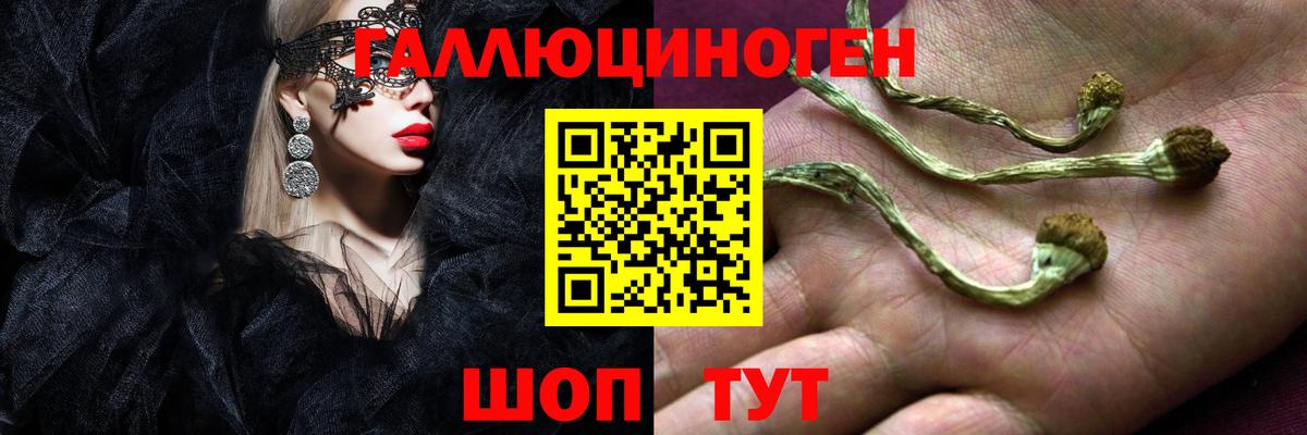 Галлюциногенные грибы Psilocybine cubensis Алексеевка